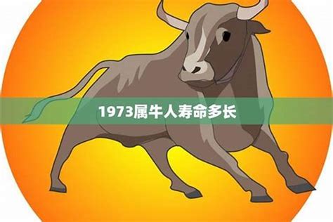 73年次五行|1973年属牛的是什么命，73年出生的牛五行属什么